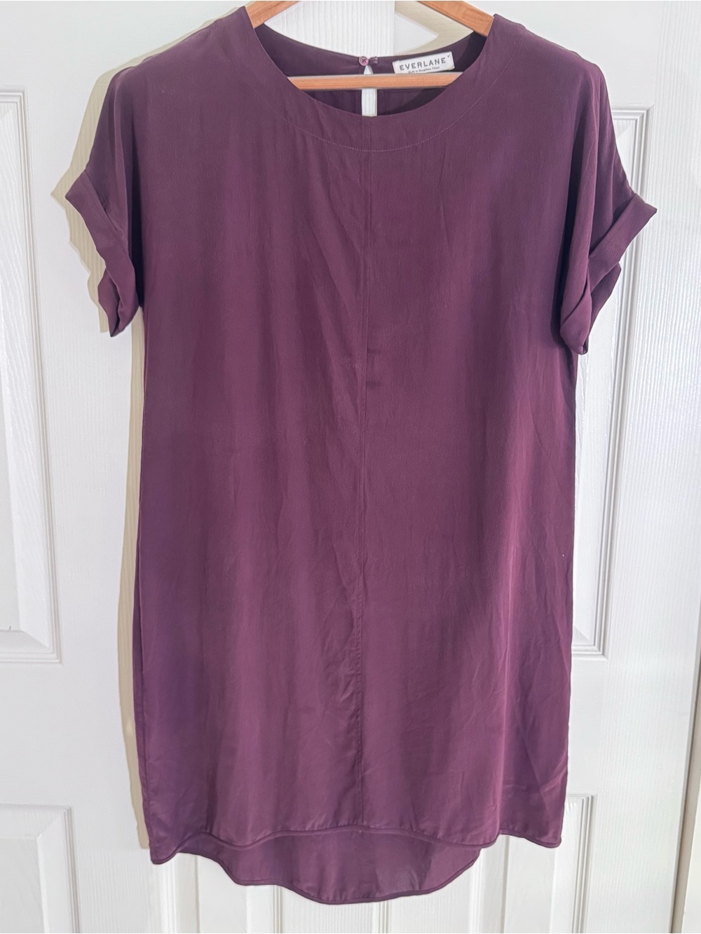 Everlane Silk Crepe Short Sleeve Shift Tunic Mini Dress
